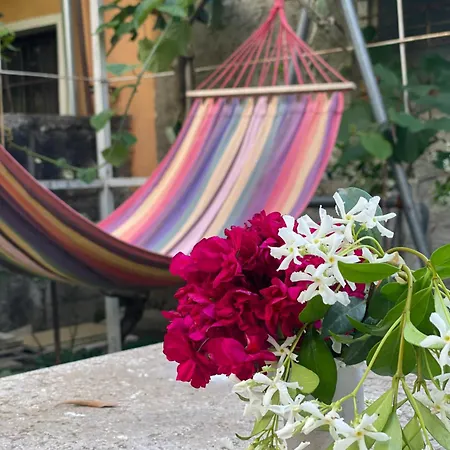 Nela Hotel