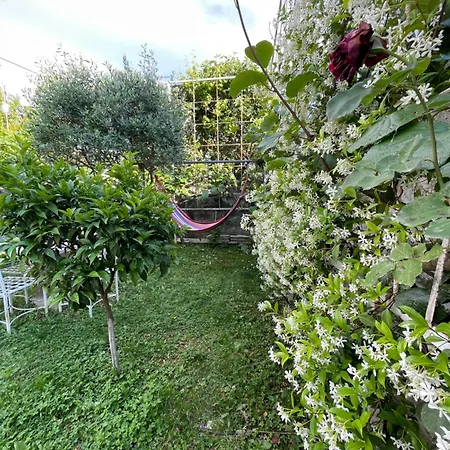 Nela * Shkoder
